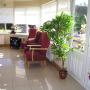 Little Flower Nursing Home