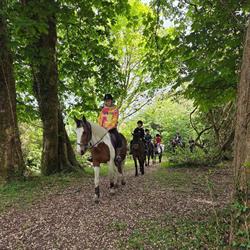 Dromquinna Riding Stables & Open Farm