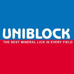 UNIBLOCK LIMITED