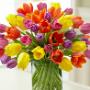 Killaloe Flowers, Gifts, Clare png GALLERY