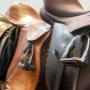 Saddlery & Equine Equipment
