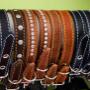 Dog Supplies & Equipment