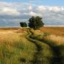 winding road