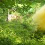 clarepaintball image zone 2