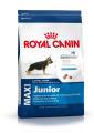 Royal Canin Maxi Junior 15kg
