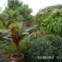 Tropical Paradise