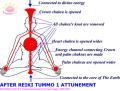 Reiki at Healing Hands Mallow