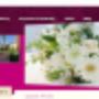 Web Design Kerry Ireland Wordpress Theme