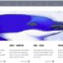 killorglininbusiness.com website designed