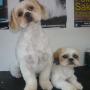 Lilly and Holly