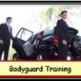 BodyGuard/Close Protection - Training