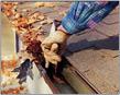 Gutter cleaning