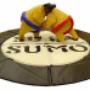 Sumo Suits for Hire Skibbereen
