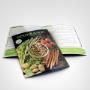 Full Colour Flyers