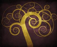 Trish Darcy Holistic Therapist