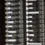 Allergy Testing