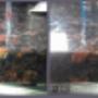 granite repair