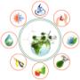 Energy Management Software