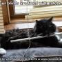 Repairs to all blinds