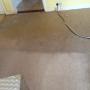 Professional carpet cleaning in Dublin by www.ecoc
