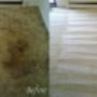 Trusted Carpet Cleaning Professionals In Your Loca