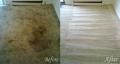 Carpet-Cleaning