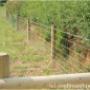 agricultural fencing