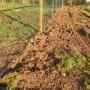 timber post and timber rail pressure treated  Rail Fence chainlink attached