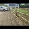 Post-rail-fencing