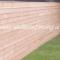 shiplap-fence