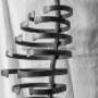 Metallic skeleton © Sculpture