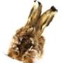 VENIARD HARE MASK
