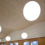 Lignotrend Panels on Ceiling