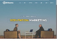 Brillsome's website