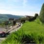 garden maintenance dublin