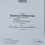 Reflexology Diploma