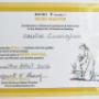 Reiki Qualification
