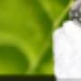 sprayfoam insulation dublin