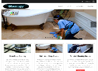 Clean Pro Bray's website