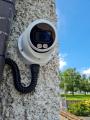 CCTV Sales, Installations & Servicing