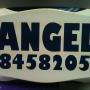 ANGEL ALARMS