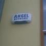 ANGEL ALARMS