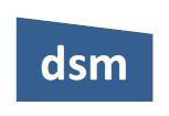 DSM Engineering Services