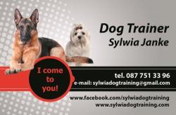 Sylwia Dog Trainer Limerick