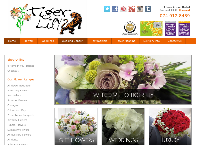 Tiger Lily's website
