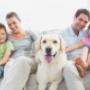 Insurance Comparison Website Ireland
