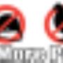 Pest Control Service