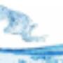 Water Leak Detection