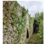 Bernard's Garden Maintenance, Tree Service, Dublin png GALLERY