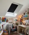 Velux Roof Blind